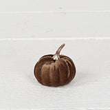 Mini Velvet Pumpkin, Brown