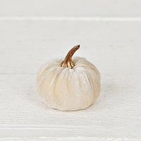 Mini Velvet Pumpkin, Cream
