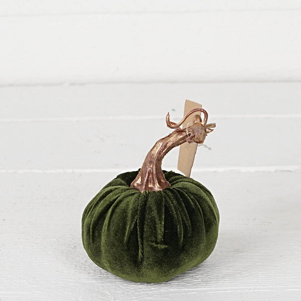 Velvet Green Pumpkin