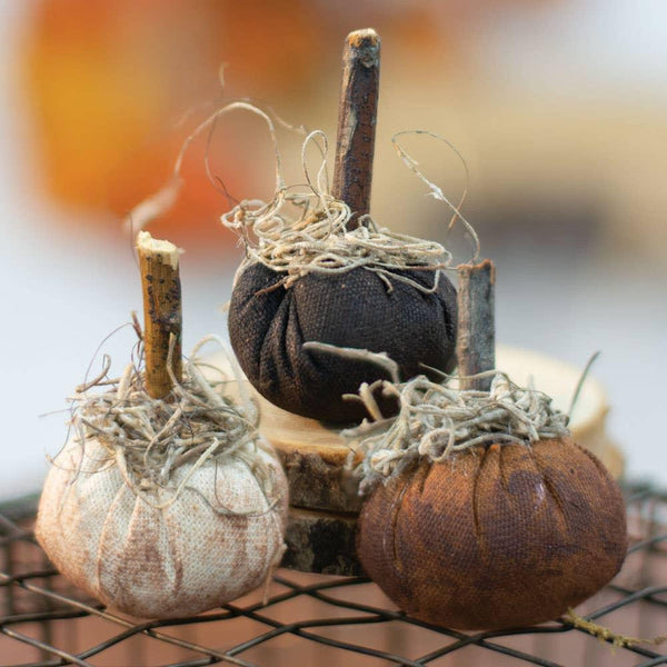 Mini Pumpkins // Multiple Colors