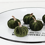 Mini Velvet Pumpkin, Green