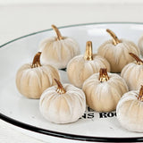 Mini Velvet Pumpkin, Cream