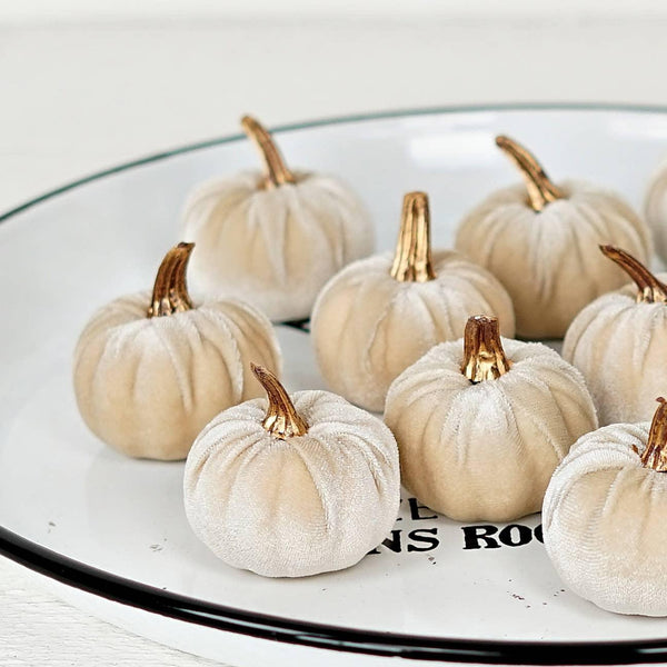 Mini Velvet Pumpkin, Cream