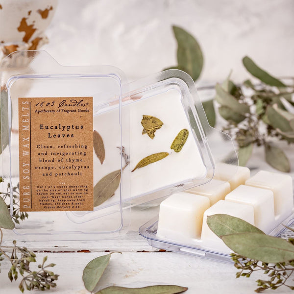 Eucalyptus Leaves Melt