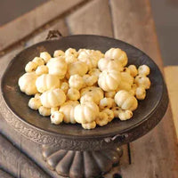 Mini Pumpkin Mix- Cream