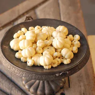 Mini Pumpkin Mix- Cream
