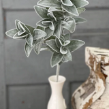 Lambs Ear Stem
