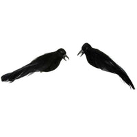 Crow; Multiple Sizes