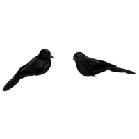 Crow; Multiple Sizes