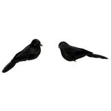 Crow; Multiple Sizes