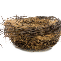 Empty Nest