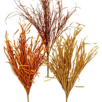 Fall Reed Grass