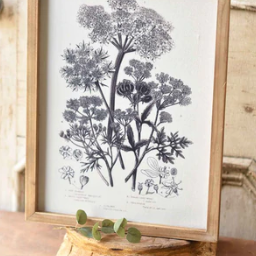 Botanical Wall Art: No.1