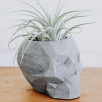 Concrete Geometric Skull Planter; Natural