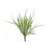 Tulip Bush - White