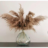 Pampas Grass, Dried floral décor