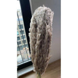 Pampas Grass, Dried floral décor