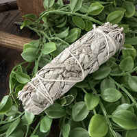Sage Bundle