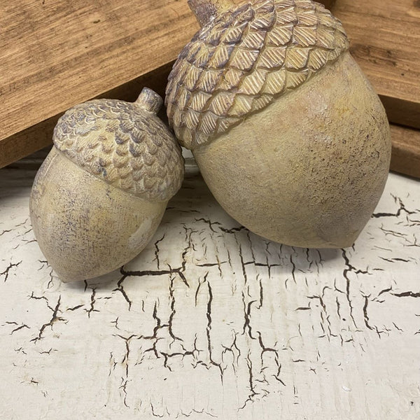 Acorn; Multiple Sizes